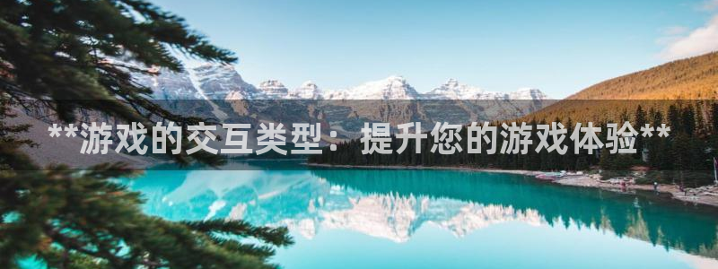 沐鸣娱乐2登录平台是什么软件：**游戏的交互类型：提升您的游戏体验**