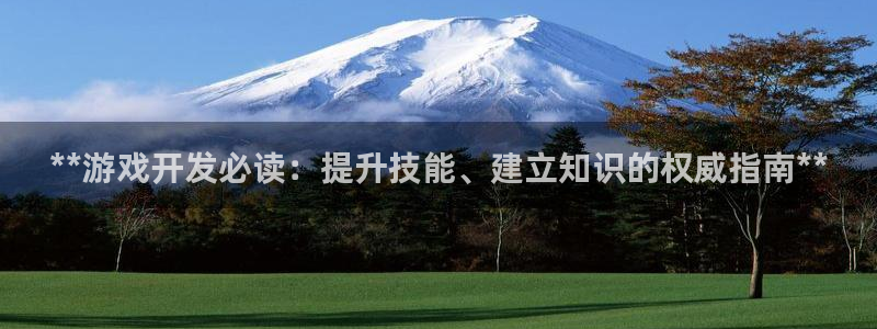 沐鸣2平台代理：**游戏开发必读：提升技能、建立知识的权威指南**
