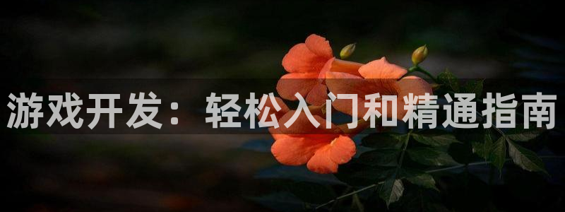 沐鸣2注册33300tg：游戏开发：轻松入门和精通指南
